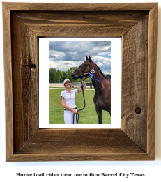 horse trail rides near me in Gun Barrel City, Texas